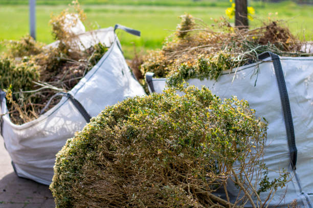 Best Dumpster Rental Services  in Fort Dix, NJ