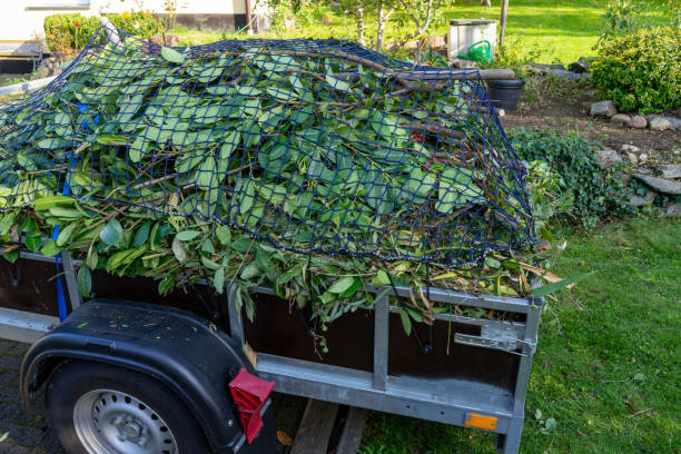 Best Moving and Downsizing Cleanouts  in Fort Dix, NJ